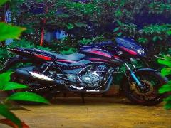 Bajaj Pulsar 150 Twin Disc